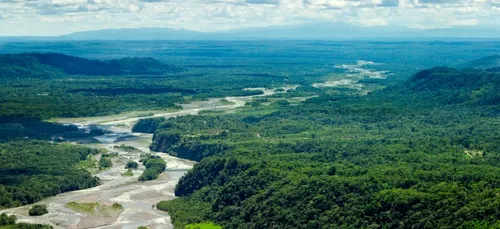 Un canadien a survécu 5 ans en Amazonie !