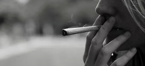 L’amende plutôt que la prison pour les consommateurs de cannabis