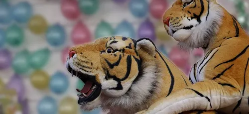 La police alertée pour maîtriser un tigre…en peluche !