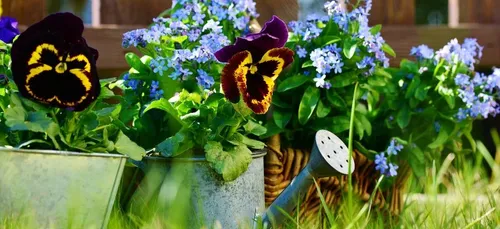 La Journée mondiale du jardinage nu, c’est aujourd’hui (photos)