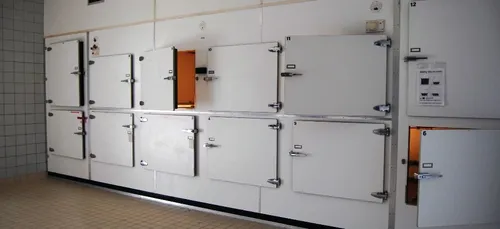 Transportée morte à la morgue, elle se réveille vivante dans un...