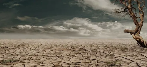 La chaleur rendra ces pays complètement inhabitables en 2070