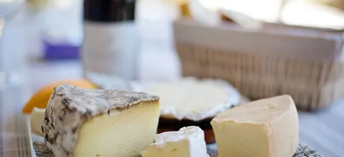 Alerte job de rêve : être payé pour manger du fromage, c'est...