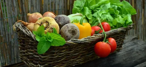 Stop aux perturbateurs endocriniens en Ile-de-France !