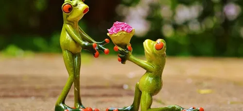 Malgré 3 mois de préparation, un imprévu gâche sa demande en...