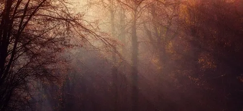 Météo du weekend : brume et grisaille laisseront peu de place au...