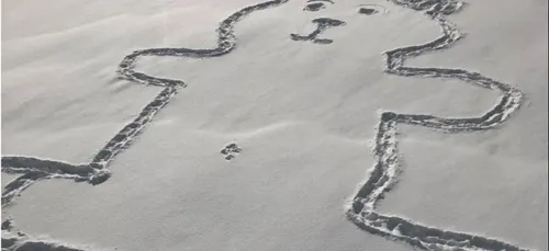 Le mystère du nombril de l’ours géant dessiné dans la neige résolu...