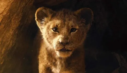"Le Roi Lion" : Disney présente enfin sa bande-annonce officielle...