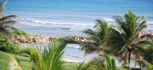 Job d’été : devenez barman en Jamaïque dans un bar sur pilotis !