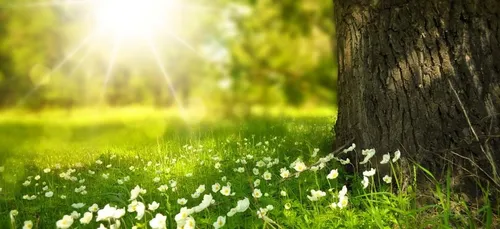 Météo : place à un week-end estival ?