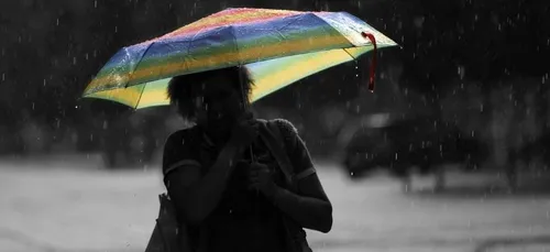 Vents violents : plusieurs parc fermés dans les Yvelines ce vendredi