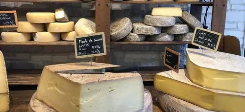 Découvrez les fromages fabriqués à partir de bactéries...