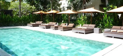 Vacances de rêve : cet hôtel propose de câliner des chiens au bord...