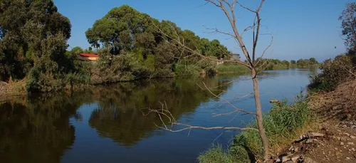Pollution : 3,5 Tonnes de poissons morts repêchés dans la Seine