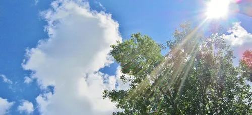 Attention au retour de la canicule : voici les températures attendues
