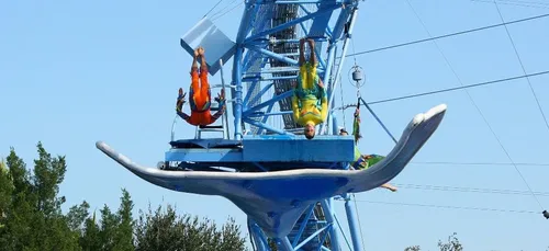 Découvrez le championnat du "plongeon de la mort", ou comment faire...