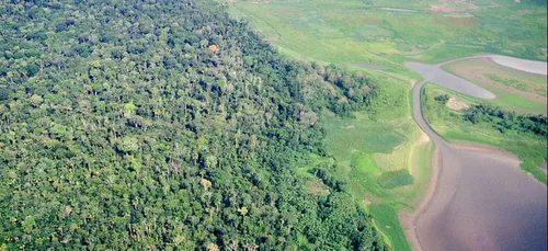 Incendies en Amazonie : une manifestation ce vendredi à Paris