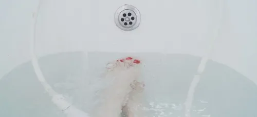 Une femme meurt électrocutée dans son bain en consultant son...
