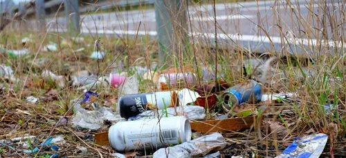 Île-de-France : 20 000 tonnes de déchets sont ramassées chaque...