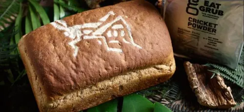 Une boulangerie propose un pain spécial… aux insectes