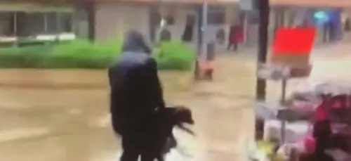 Poissy : un homme filmé en train de jeter son chien à terre (vidéo)