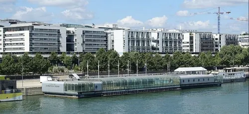 Paris : regardez Le Roi Lion depuis une piscine chauffée !