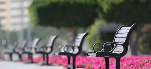 Une tonne de fiente déposée dans des parcs pour décourager les fêtards