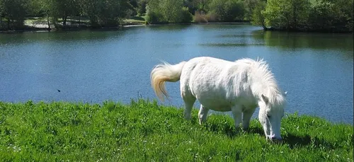 Les îles de loisirs d’Ile-de-France seront-elles ouvertes ce...