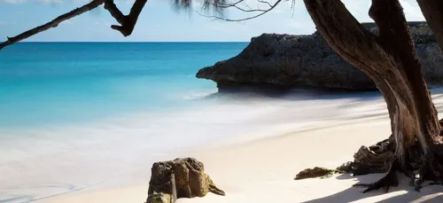 Et si vous faisiez du télétravail depuis l’île paradisiaque de La...