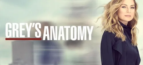 Grey’s Anatomy : le coronavirus au programme de la saison 17 !