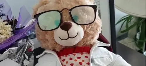 Un voleur dérobe sa peluche avec l’enregistrement de sa mère...