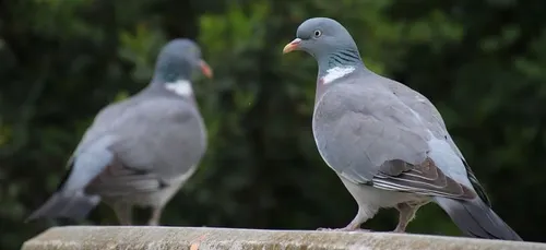 Ivry-Sur-Seine : un homme mort depuis six ans découvert grâce à des...