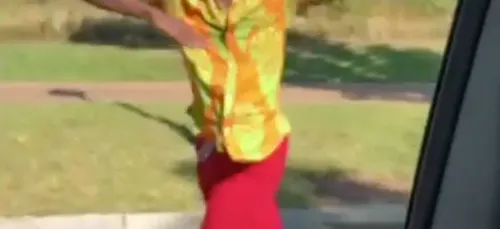 Mufasa, la nouvelle star des réseaux sociaux qui fait danser les...