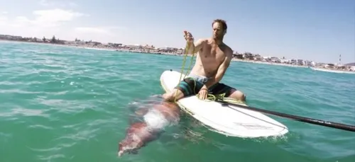 Ils prennent d'énormes risques en voulant sauver un calamar géant !