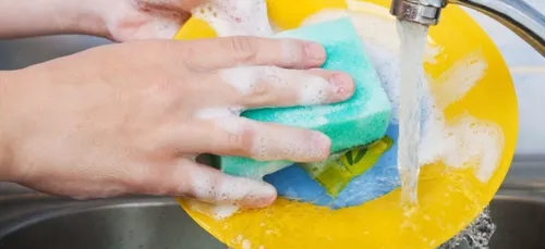 L’éponge de cuisine ; un nid à bactéries !