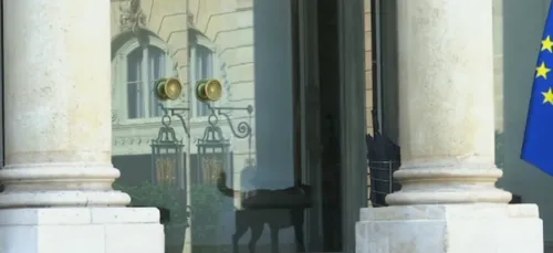 Un nouveau pensionnaire à l’Elysée !