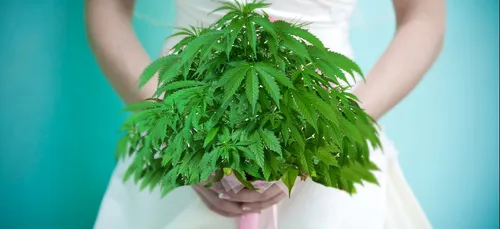 Le cannabis, très à la mode dans les mariages aux Etats-Unis !