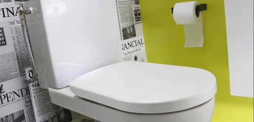 Elles bouchent les toilettes avec des billets de 500 euros !