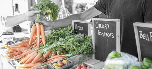 La Caverne:  la première ferme bio de Paris !