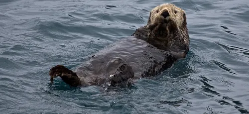 La flottaison: la nouvelle tendance anti-stress !