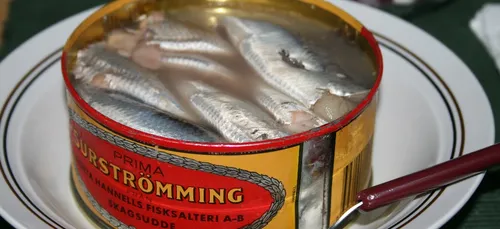 Une exposition des pires odeurs au monde à Tokyo !