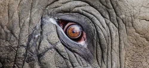 Voilà pourquoi vous allez aimer vos rides !