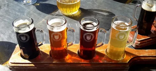 Du glyphosate et d'autres pesticides retrouvés dans nos bières !