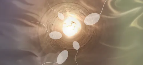 La qualité du sperme diminue en France