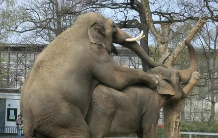 Santé : faites l’amour, c’est bon pour le cœur !