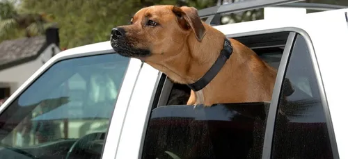 Lunettes Seetroën : la solution contre le mal des transports (vidéo)