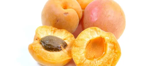 Noyau d’abricot : attention au risque d’intoxication au cyanure