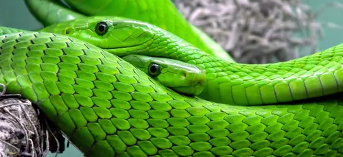 Mexique : louez une maison insolite en forme de serpent !