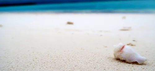 Plage : 1.000€ d’amende pour avoir rapporté du sable dans sa valise