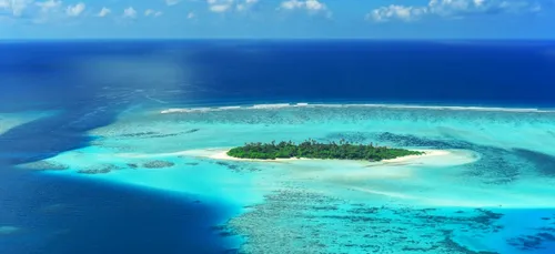 Job de rêve : libraire dans un hôtel de luxe aux Maldives